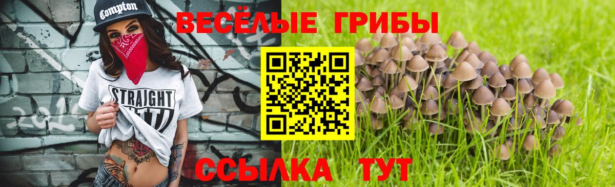 Елизово  Галлюциногенные грибы Magic Shrooms  Псилоцибиновые грибы мицелий  Вход с VPN 