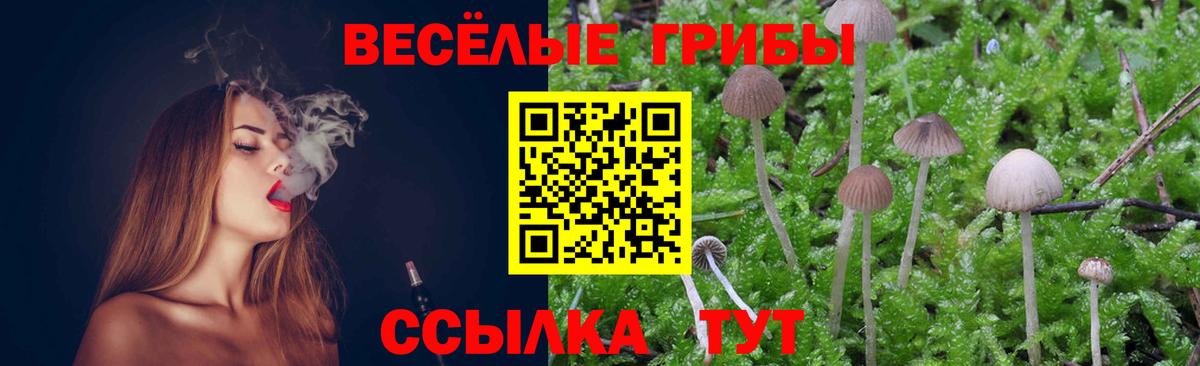 Псилоцибиновые грибы ЛСД Елизово
